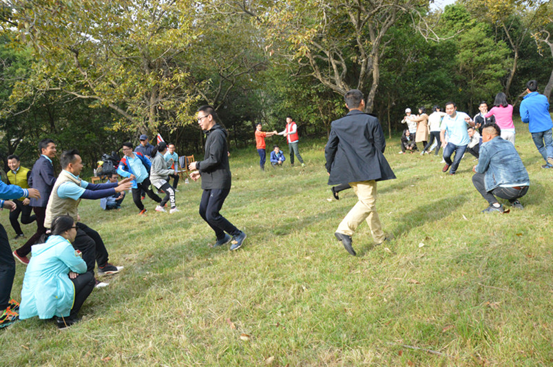 大樹與松鼠(1)_副本.jpg 大樹與松鼠(1)_副本.jpg